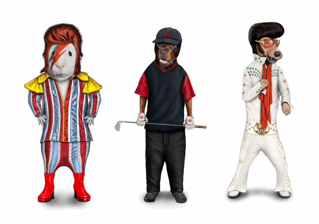 Pets Rock Collection